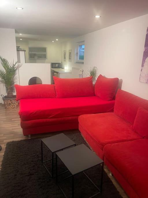 Gemuetliches Einliegerapartment, 50 Qm Trippstadt المظهر الخارجي الصورة